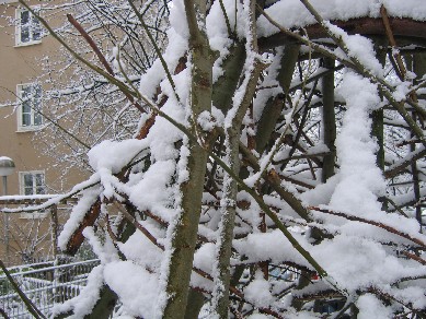 Tipi im Schnee 2